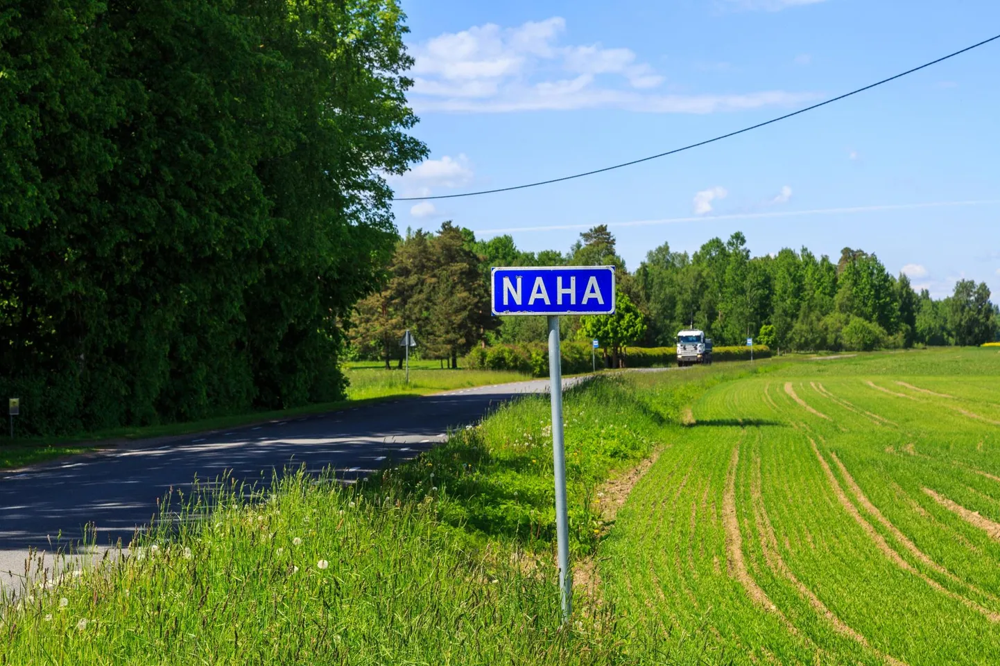 Naha küla, kus koduhoovist minema jooksnud koerad on väidetavalt palju pahandust külvanud.