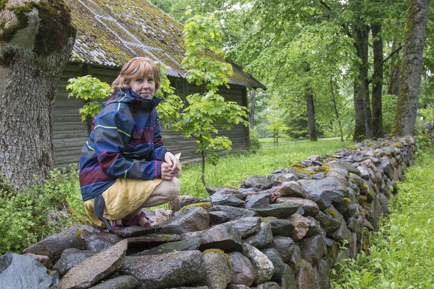 Külaseltsi eestvedamisel valmis 2008. aastal kuuesaja meetri pikkune kiviaed, mis ümbritseb vana parki ja mõisahoonet. Kiviaial istub Sürgavere abikülavanem Eve Soopa.
