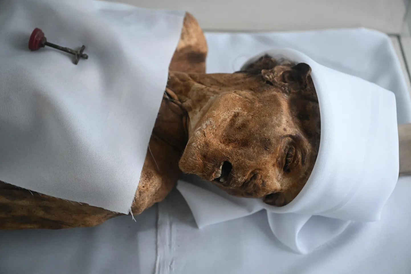 Jorge Cruzkes suri 2005. aastal ning on nüüd kohalikus muumiamuuseumis, kuna tema keha ei lagunenud mingil põhjusel ära. Colombia linnas San Bernardos juhtus see varem lausa 50 surnuga aastas, nüüd leitakse aastas kuni viis sellist surnut.
