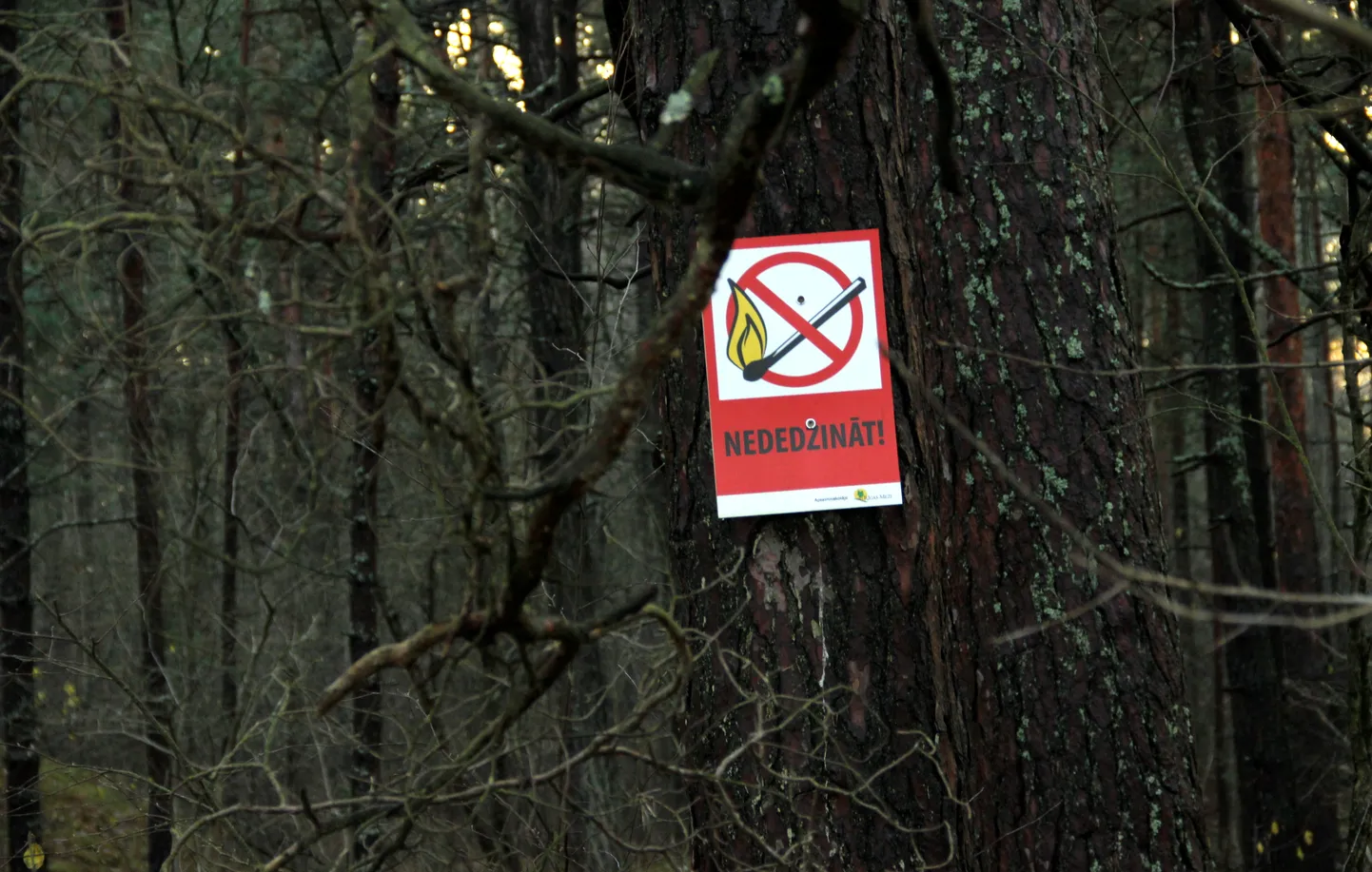 Предупреждение в лесу
