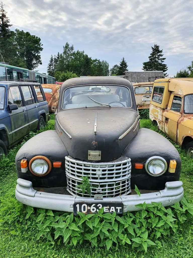 Фото статьи