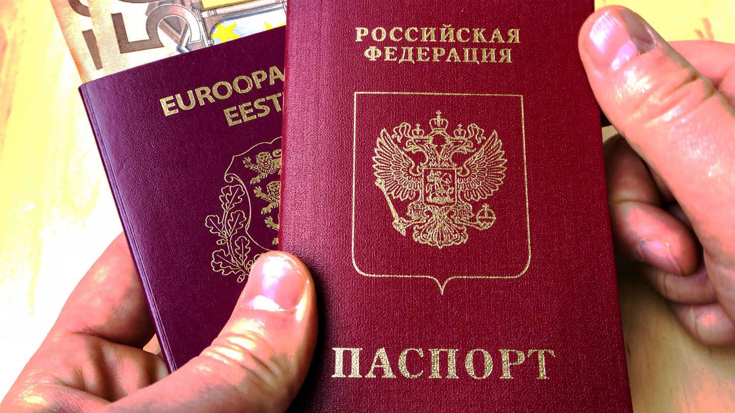 Elamisloa alusel Eesti asuva Venemaa kodaniku pass võimaldab valida linna- või vallavolikogusse endale meelepärase kandidaadi, kuid ei lase valida riigikogu liikmeid ega osaleda kohalikus parteielus.