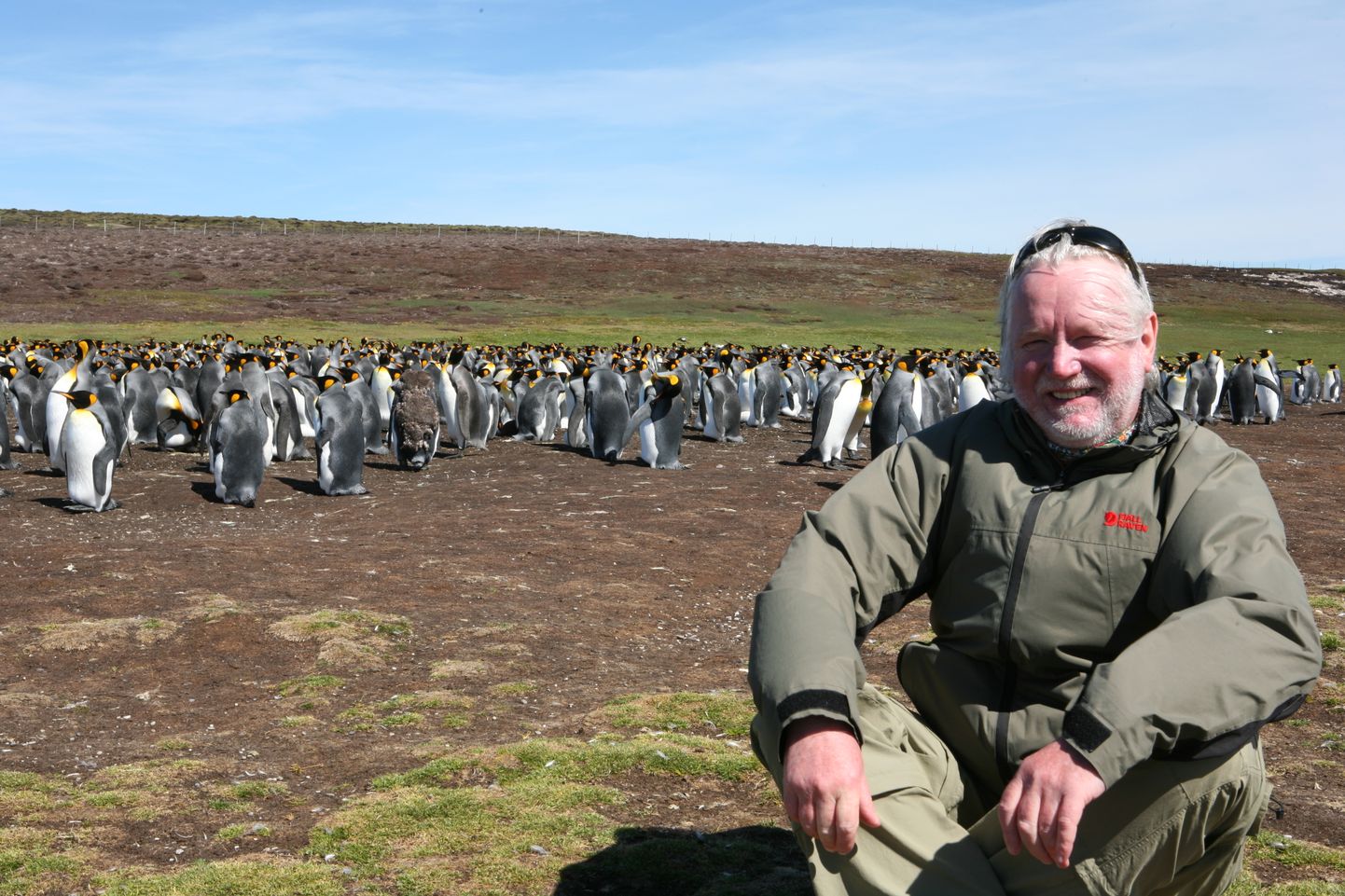 Indrek Rohtmets Falklandi saarel koos kuningpingviinidega.