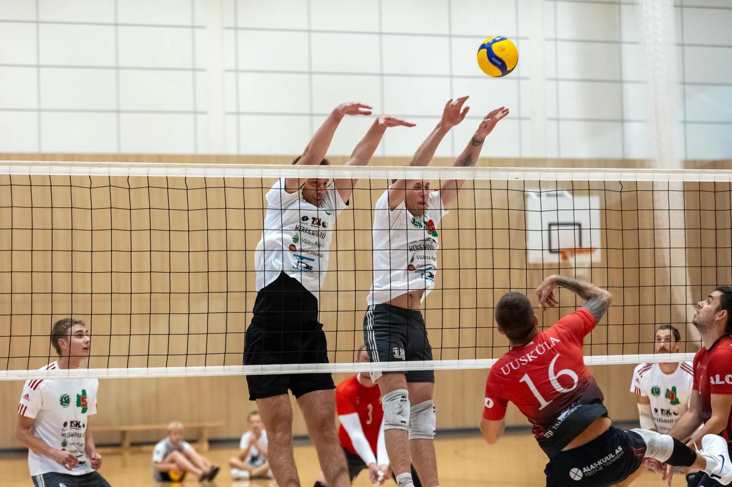Esiliiga avamängus läheb IMsport/Türi VK vastamisi varasemast tuttava Tallinna ülikooli meeskonnaga.