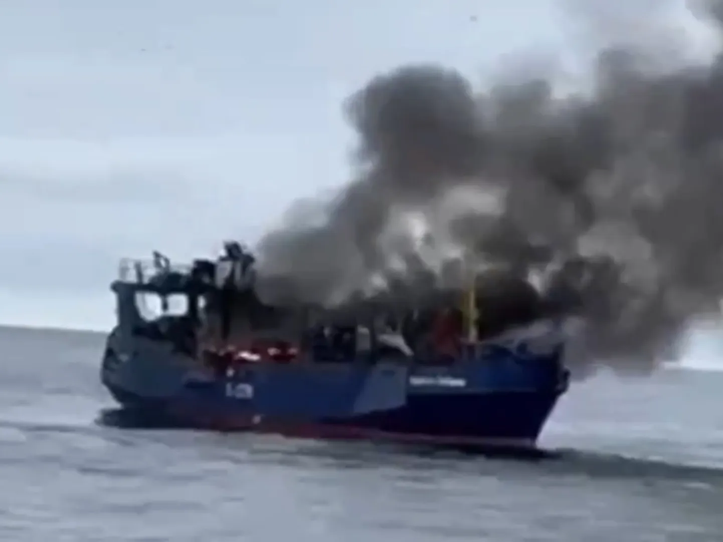Artikli foto
