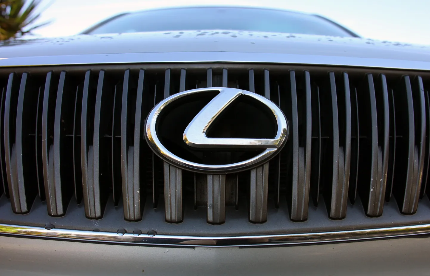 Lexuse logo autoninal
