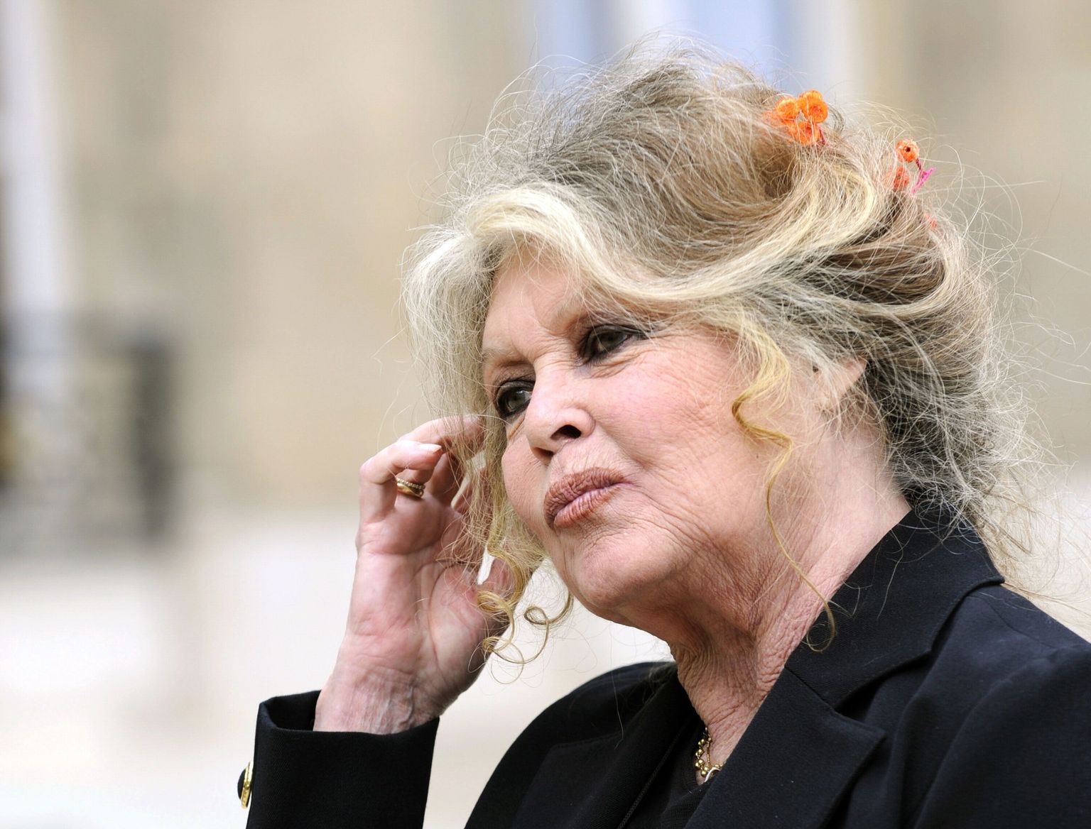 Brigitte Bardot 2007. aastal