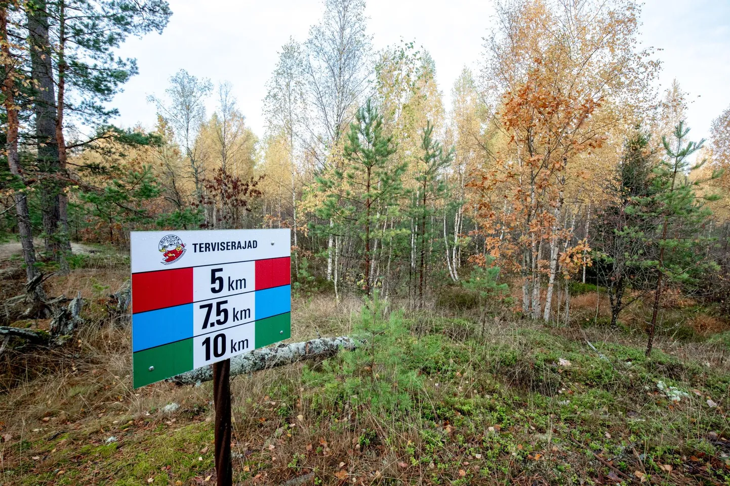 Võiste II liivakarjäär tuleb Jõulumäe terviseradadest paremale.