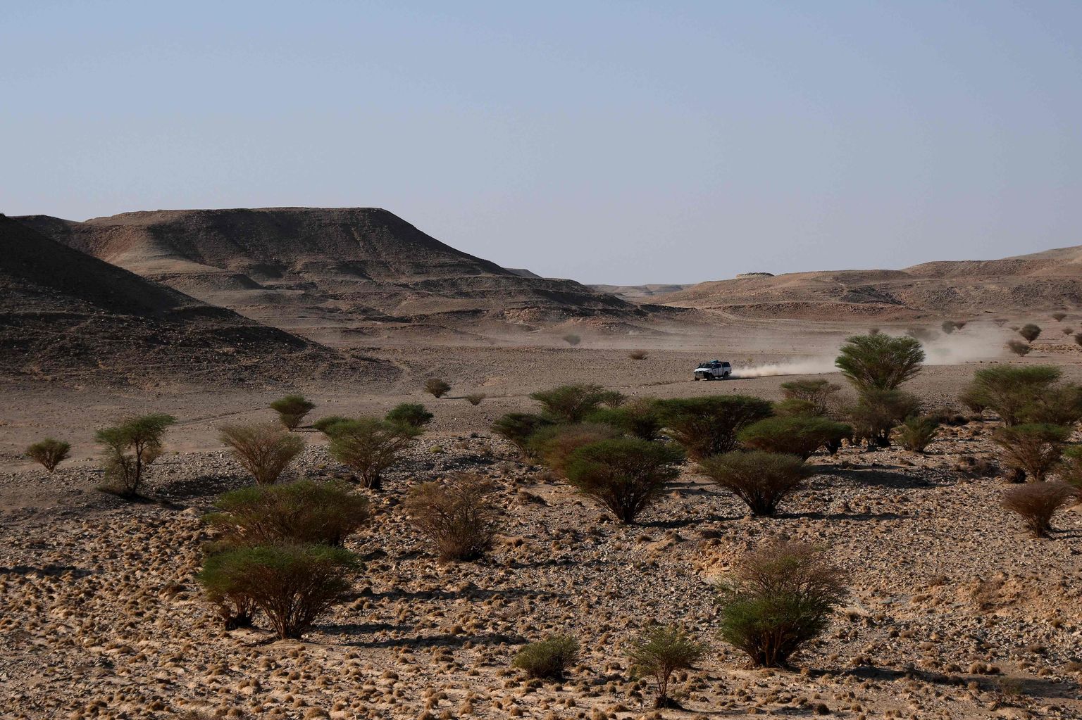 Saudi Araabias sõidetav Dakari ralli. Varsti võib seal piirkonnas toimuda ka WRC etapp.