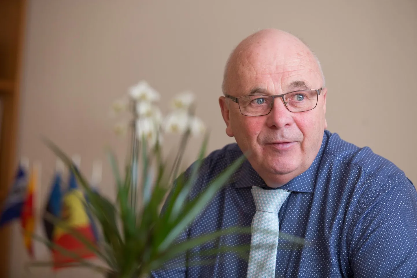 Viru-Nigula vallavanem Einar Vallbaum ei mõista, mis põhjustel ja miks on valitsus tehase eriplaneeringu lõpetanud.