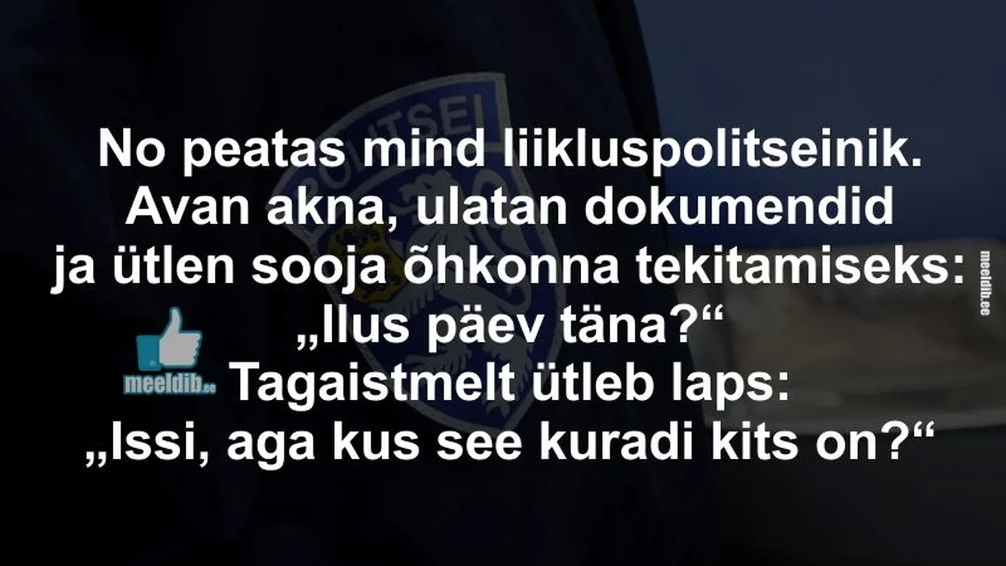 Artikli foto