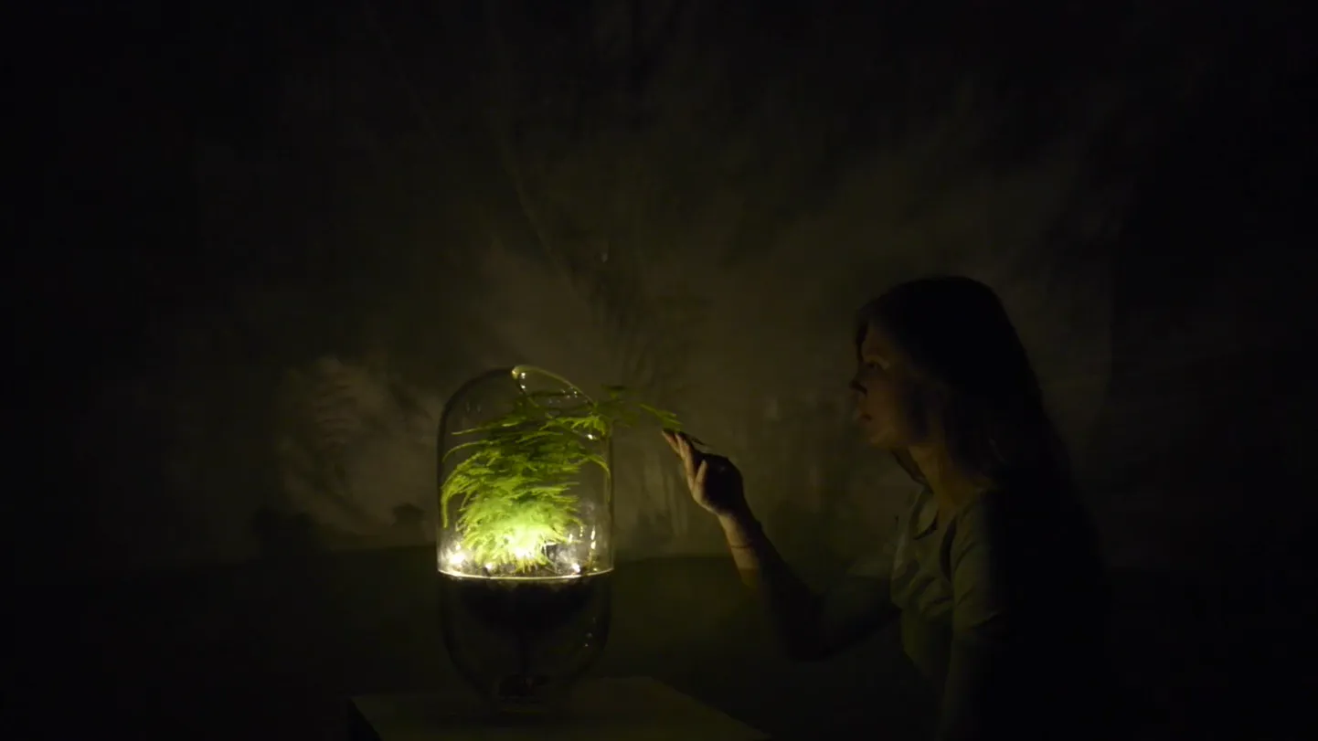 Taim ja lamp kaks ühes