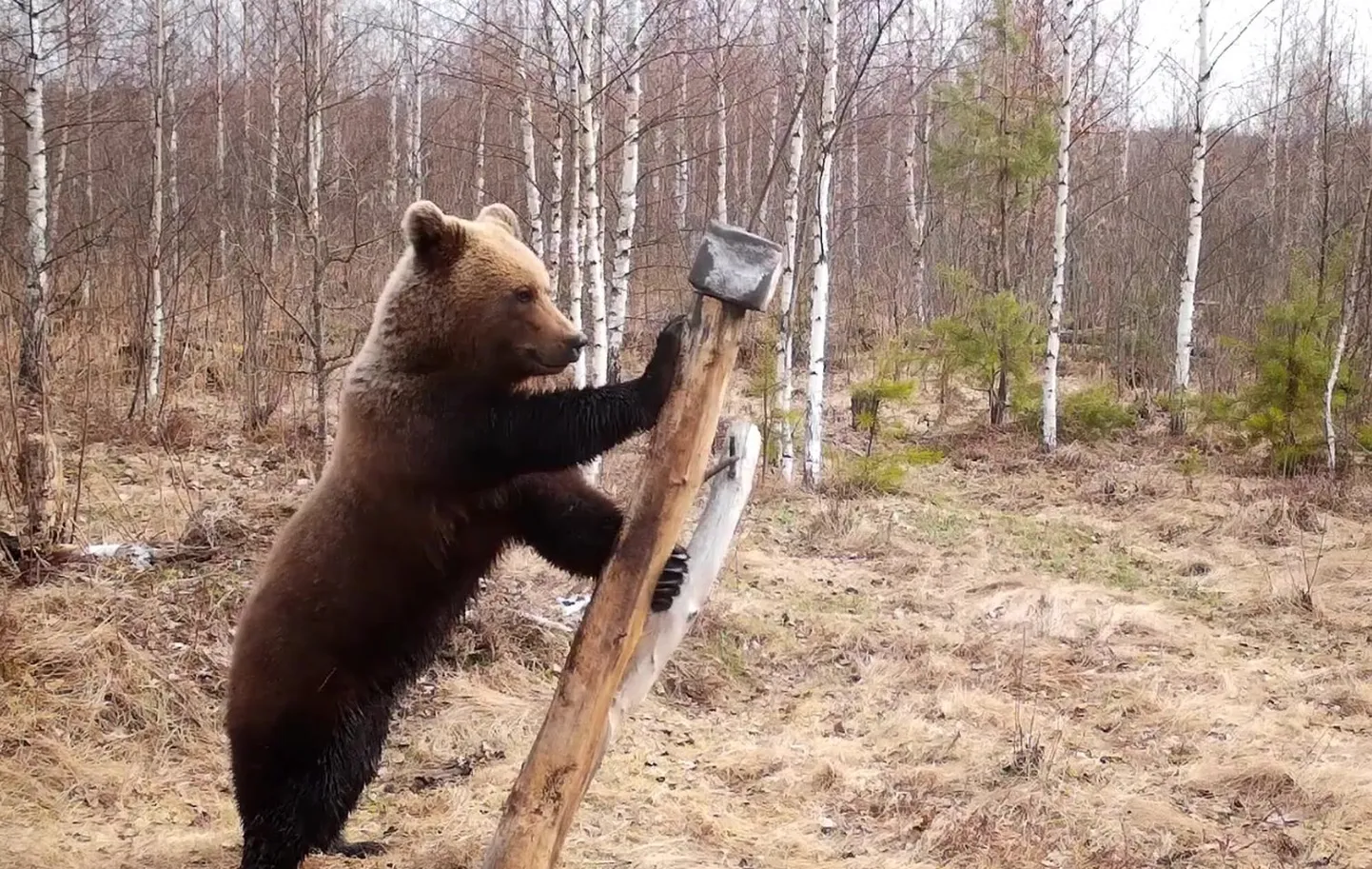 Kuvatõmmis videost