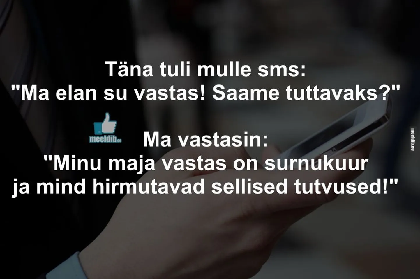 Artikli foto
