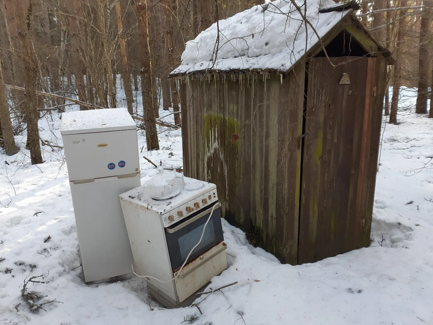 Justkui vajaksid loomariigi esindajad külmkappi ja elektripliiti, on keegi vedanud oma sodi Äntu Valgejärve parklasse.