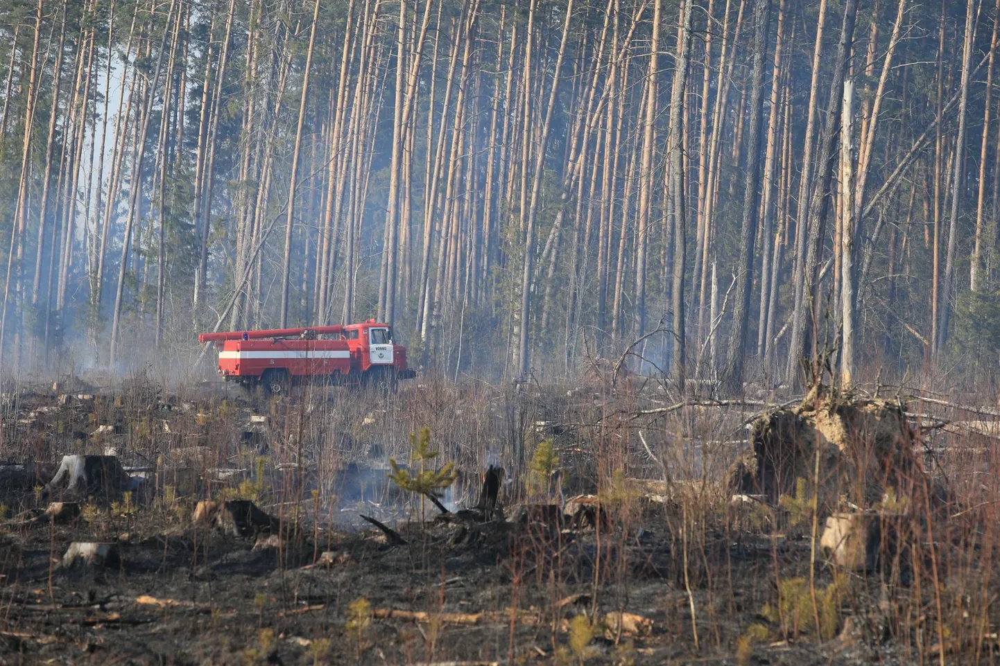 Vali tuul tegi tulekahju kustutamise päästjatele keeruliseks.