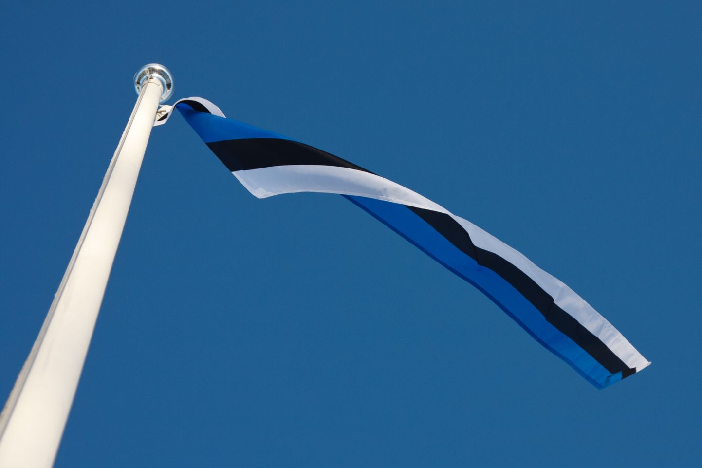 Eesti lipp, mastivimpel, sinimustvalge