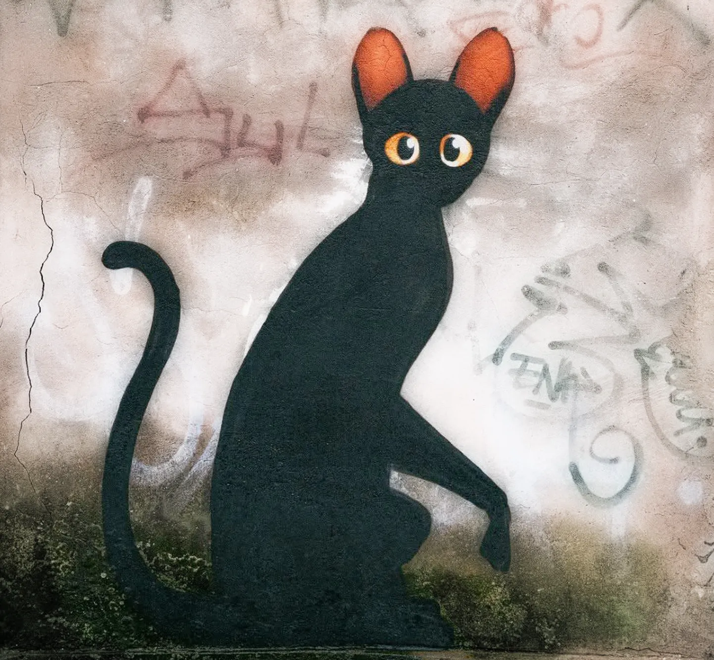 Кот-индивидуалист, граффити на улице Ропажу, 15