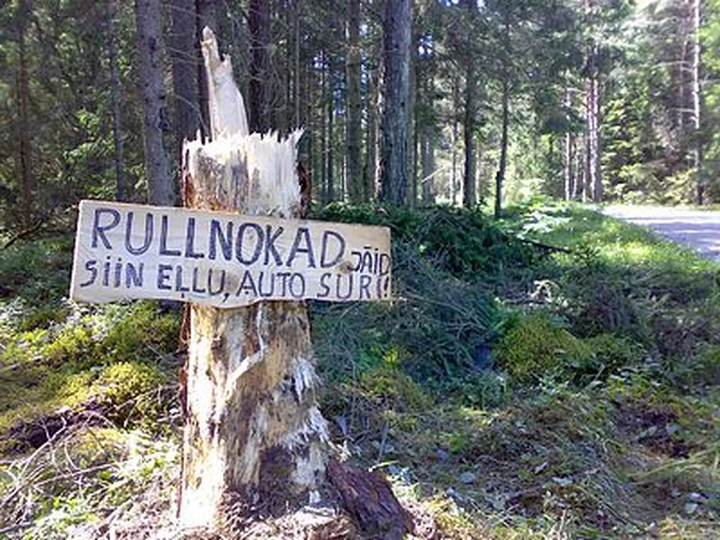 Mälestustahvel rullnokkadele.
