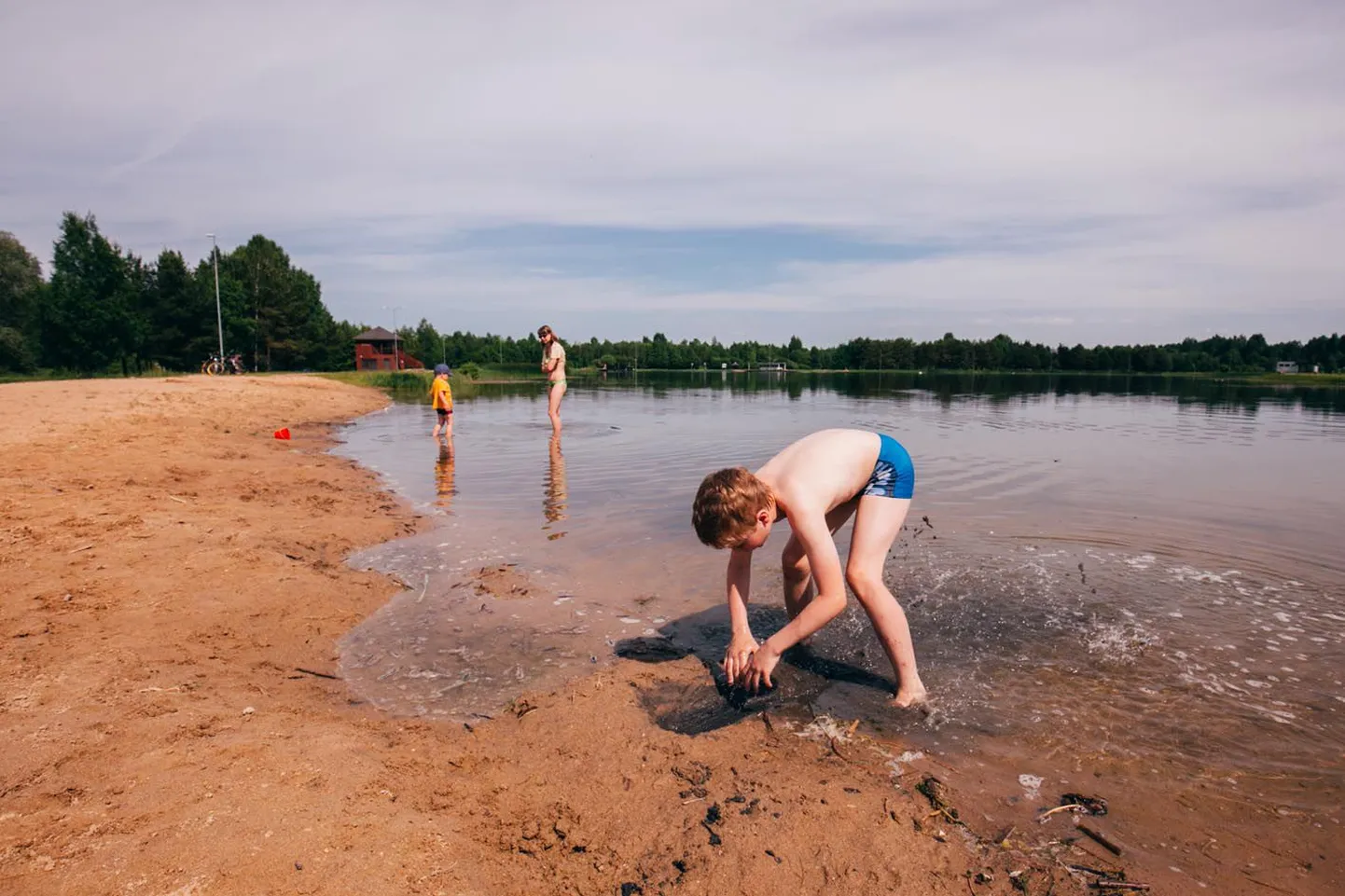 Paide tehisjärv (Paide linn)