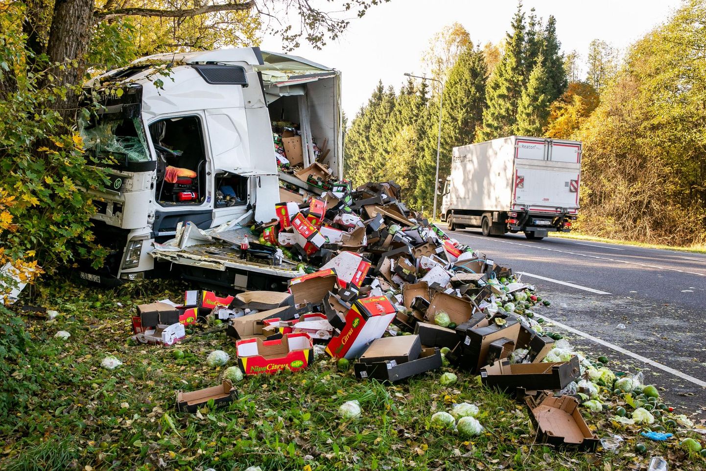 Mullu oktoobris juhtunud liiklusõnnetus Häädemeeste vallas Tallinna–Pärnu–Ikla maantee 149. kilomeetril, kus köögivilju transportinud veoauto Volvo sõitis paremale poole teelt välja vastu puud.