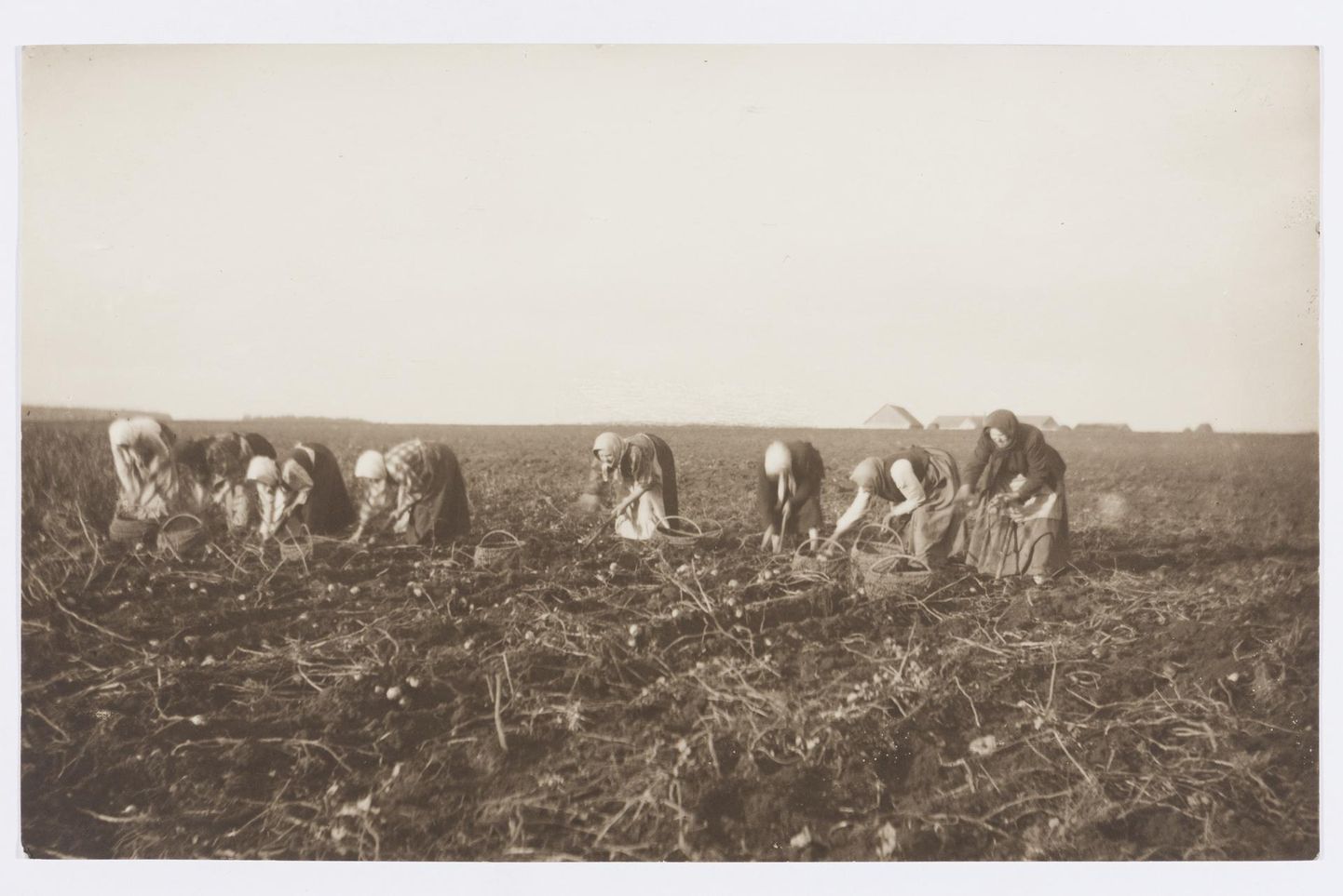 Need vendade Parikaste pildile püütud naised jõudsid kartulid kenasti enne lume tulekut üles võtta.