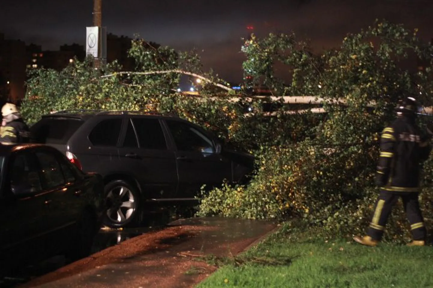 Tallinnas Linnamäe teel kukkus eile hilisõhtul tugeva tuule tõttu puu sõidukitele peale.