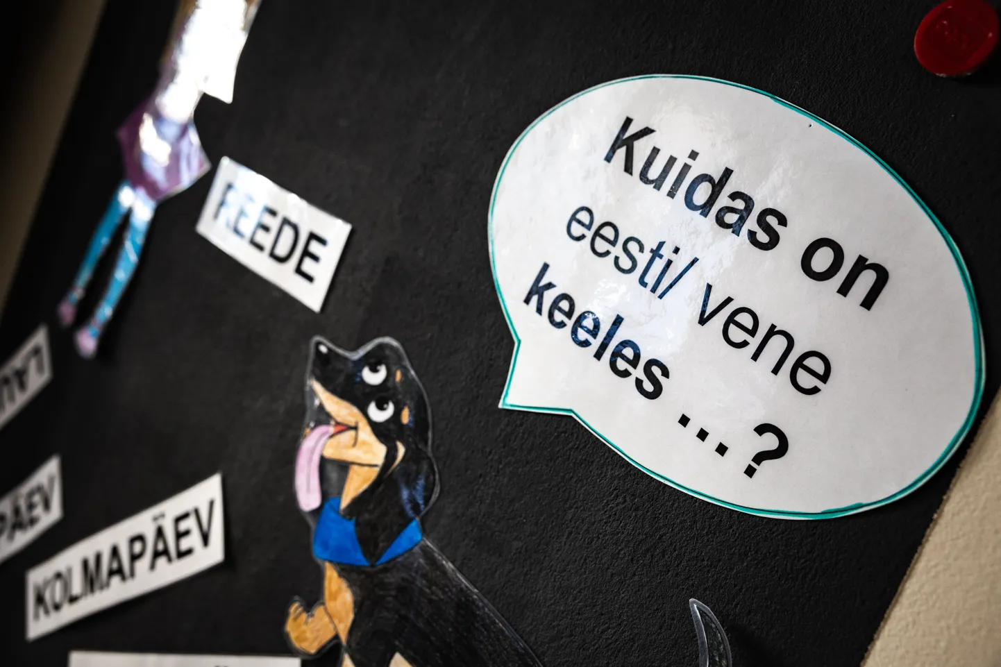 Põhjus, miks tõrgutakse eesti keelt suhtluskeelena aktsepteerimast lasub ka tõigas, et elame de facto kakskeelses riigis.