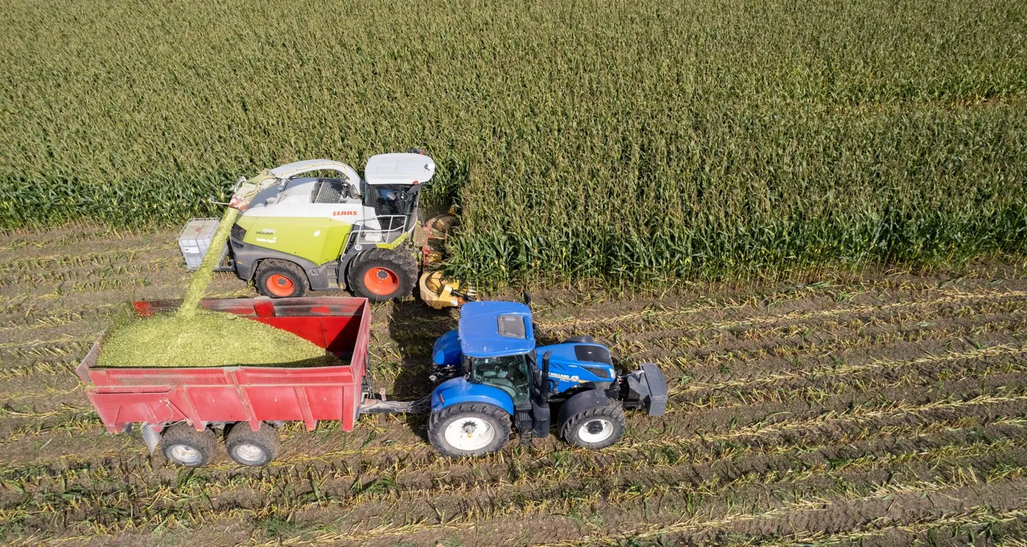 Tartu Agro toimetab ligi 3000 hektaril, mis kuulub Eesti riigile.