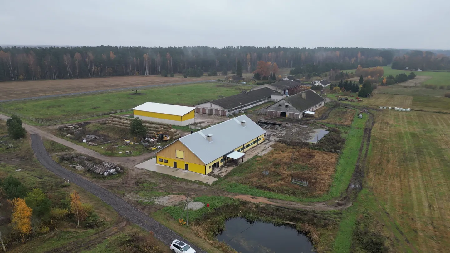 Pulga veisefarm.