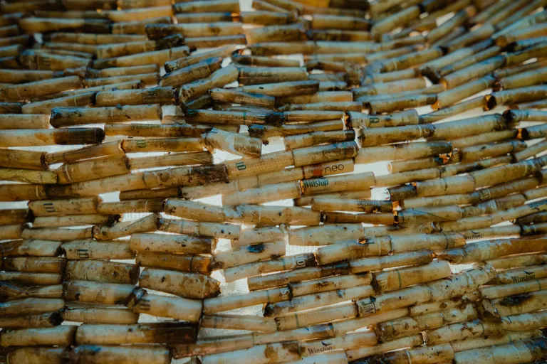 Окурки, покрытые эпоксидной смолой.