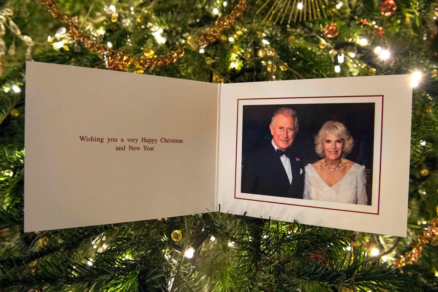 Charlesi ja Camilla möödunud aasta jõulukaart