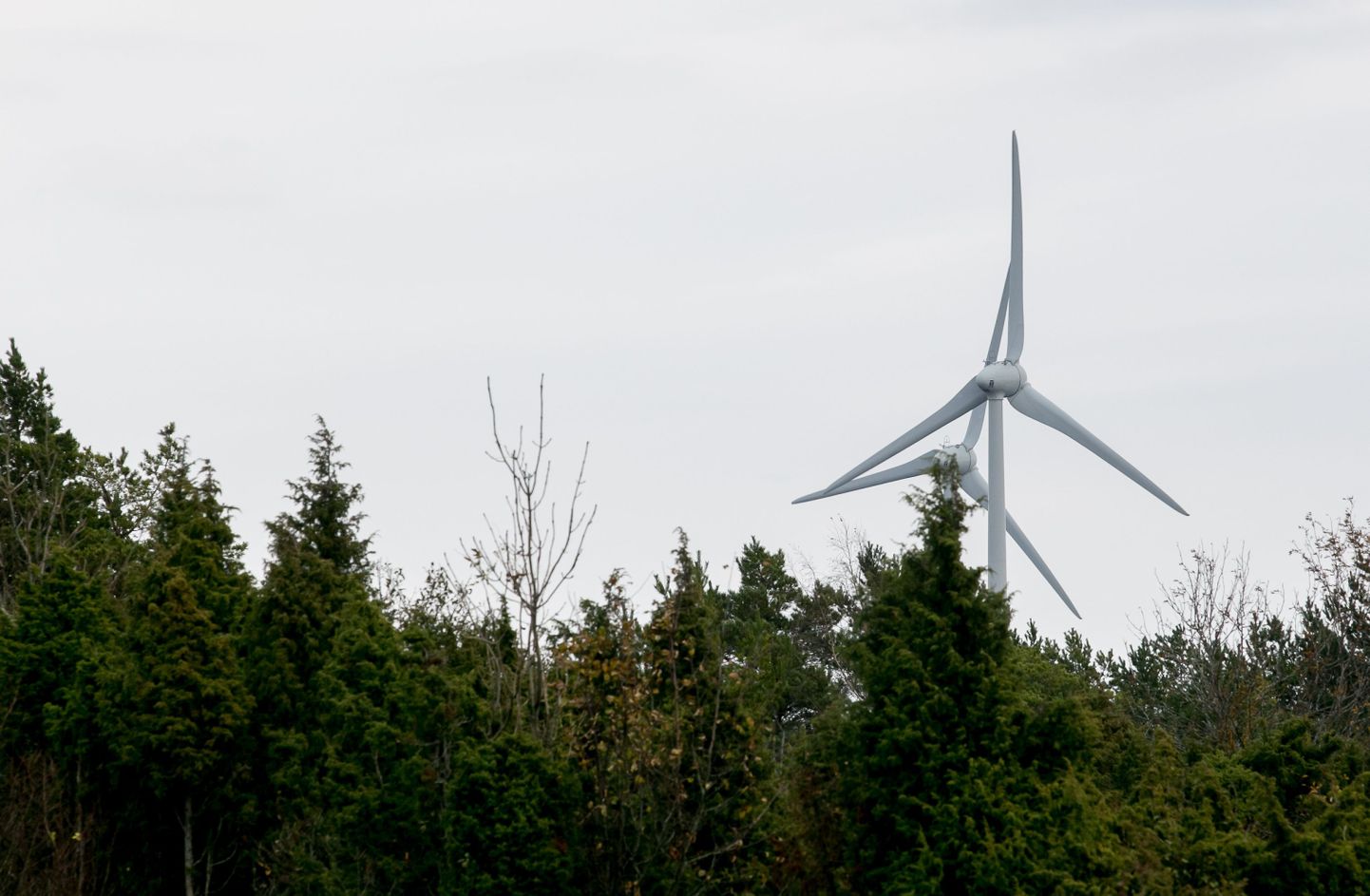 Tuuleenergiale kulub tuleval aastal 42% taastuvenergia toetusest.
