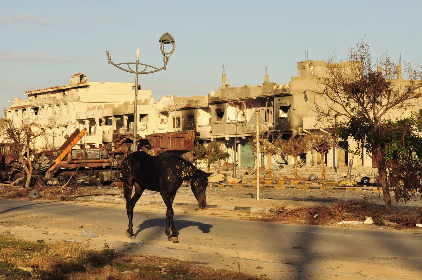 Liibüa endise diktaatori Muammar Gaddafi peidupaik Sirte linn 2011. aastal, mil algas riiki tänaseni räsiv kodusõda.