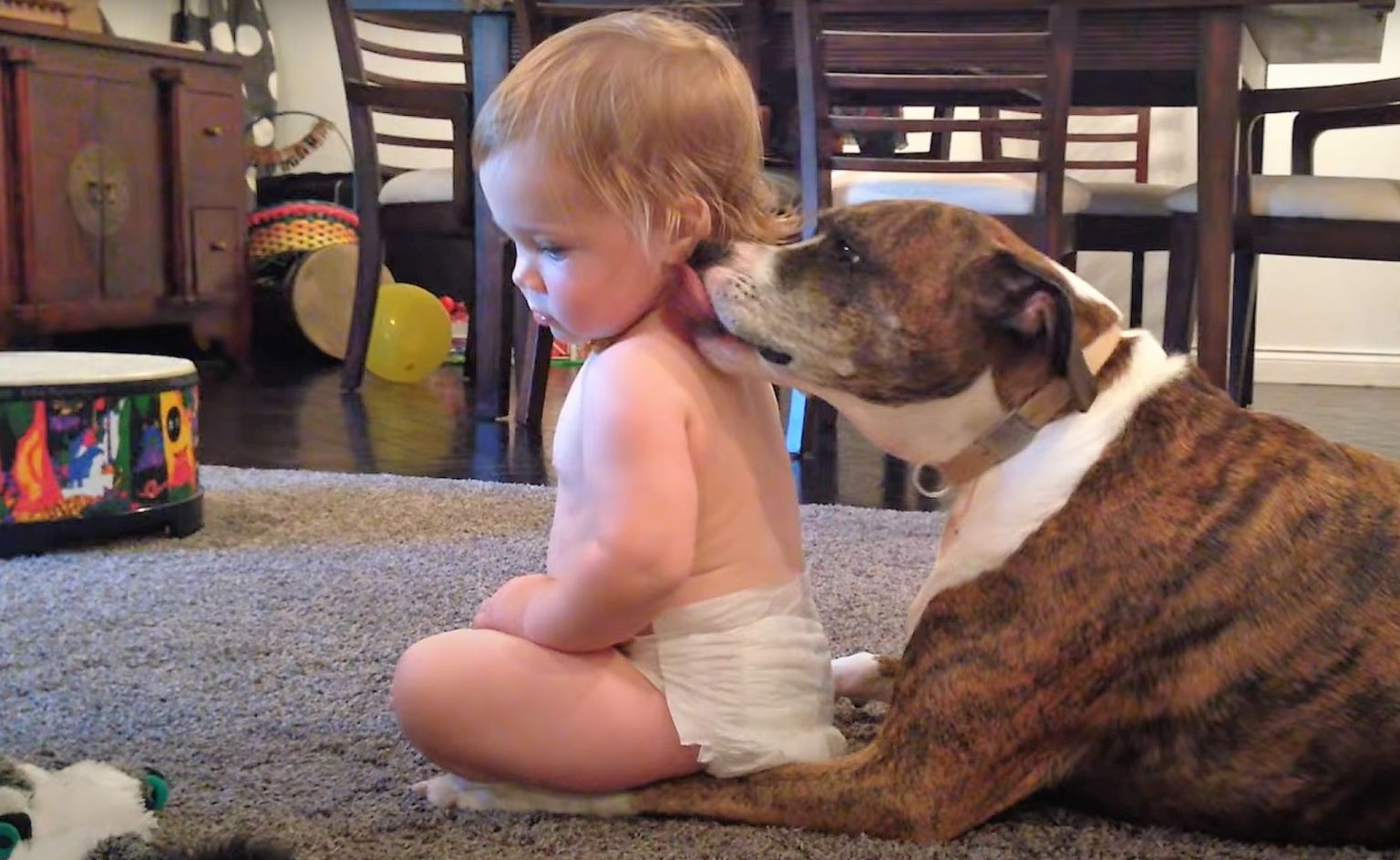 Laps ja koer, kelle suhtlusel tuleb silm peal hoida.