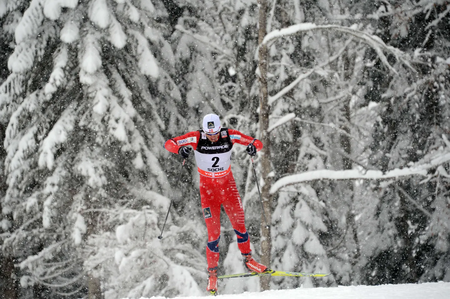 Petter Northug Sotši eelolümpial.