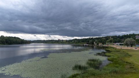 Rahanappuse tõttu neljakordselt vähenenud niitmine tõi Viljandi järvele suured taimesaared