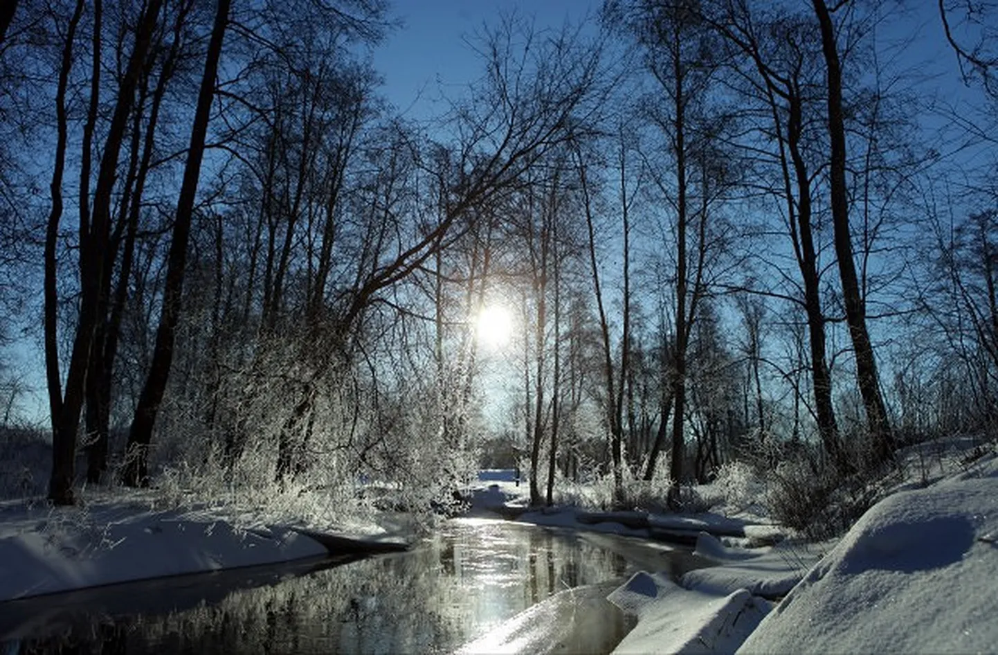 Raksta foto