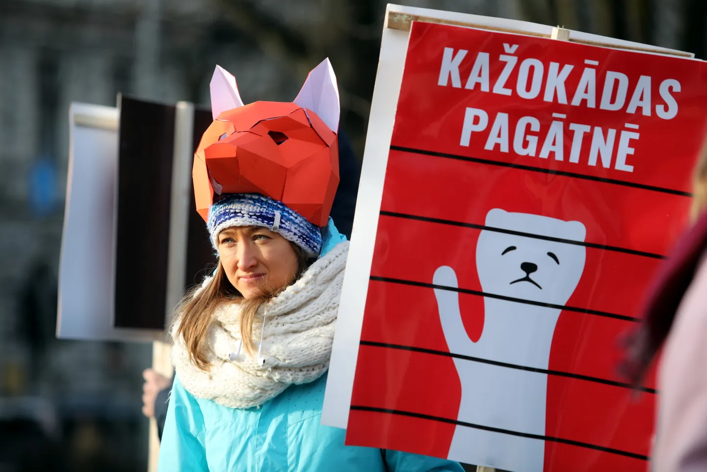 Raksta foto