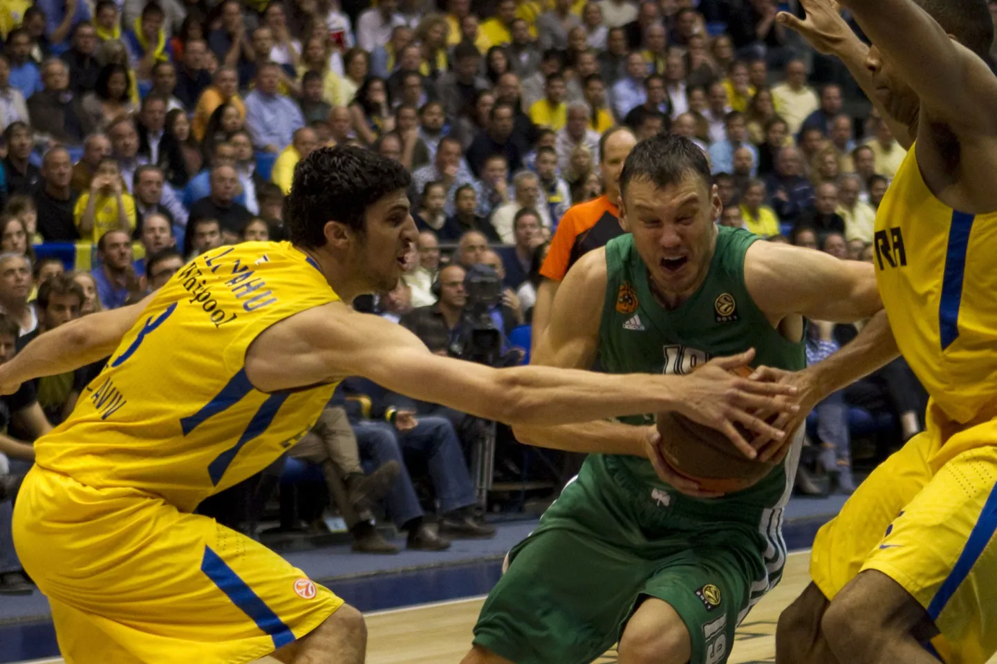 Panathinaikose leedulasest tagamees Šarunas Jasikevicius on pugenud Maccabi tagameeste vahele.