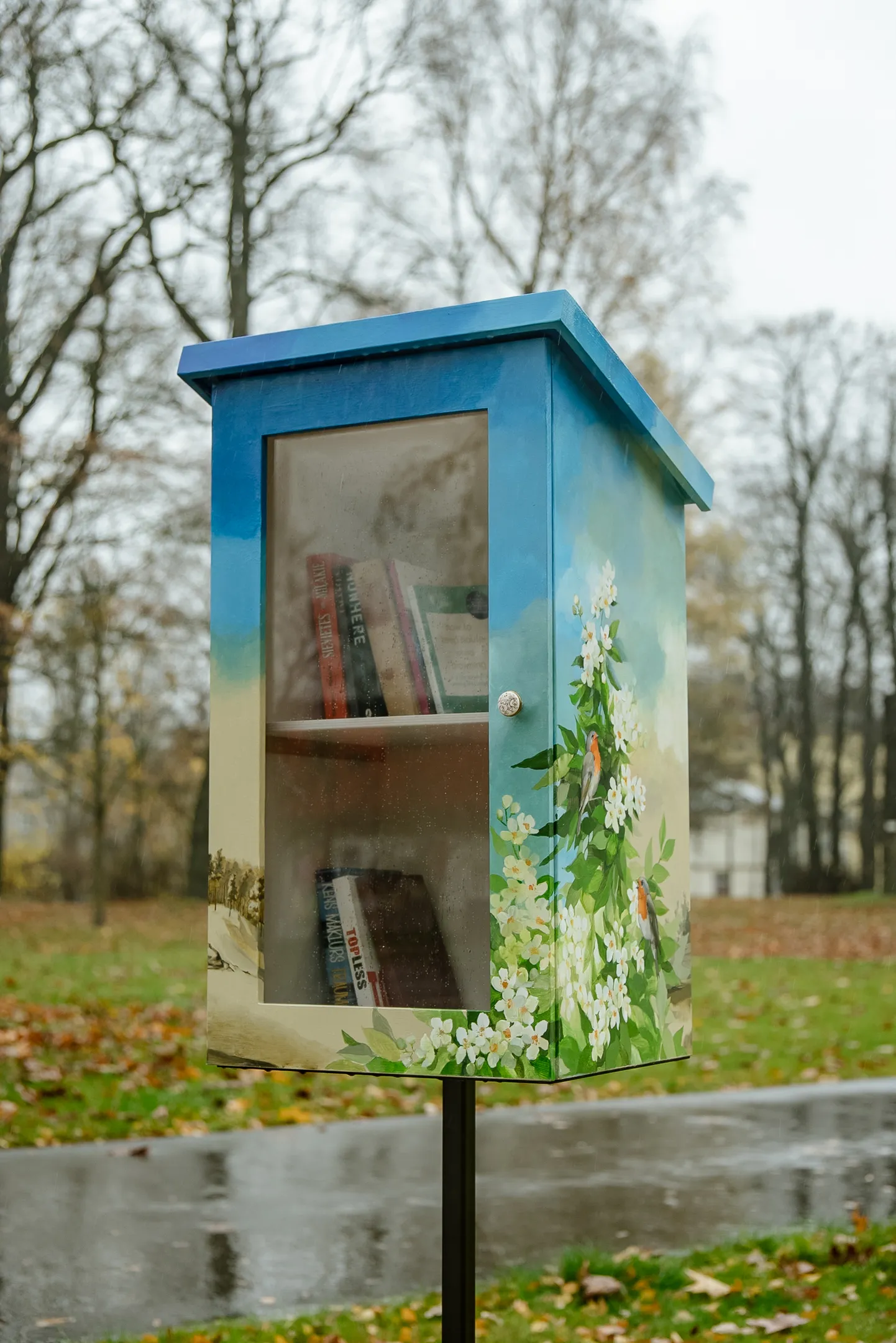 Книжные домики в Саркандаугаве