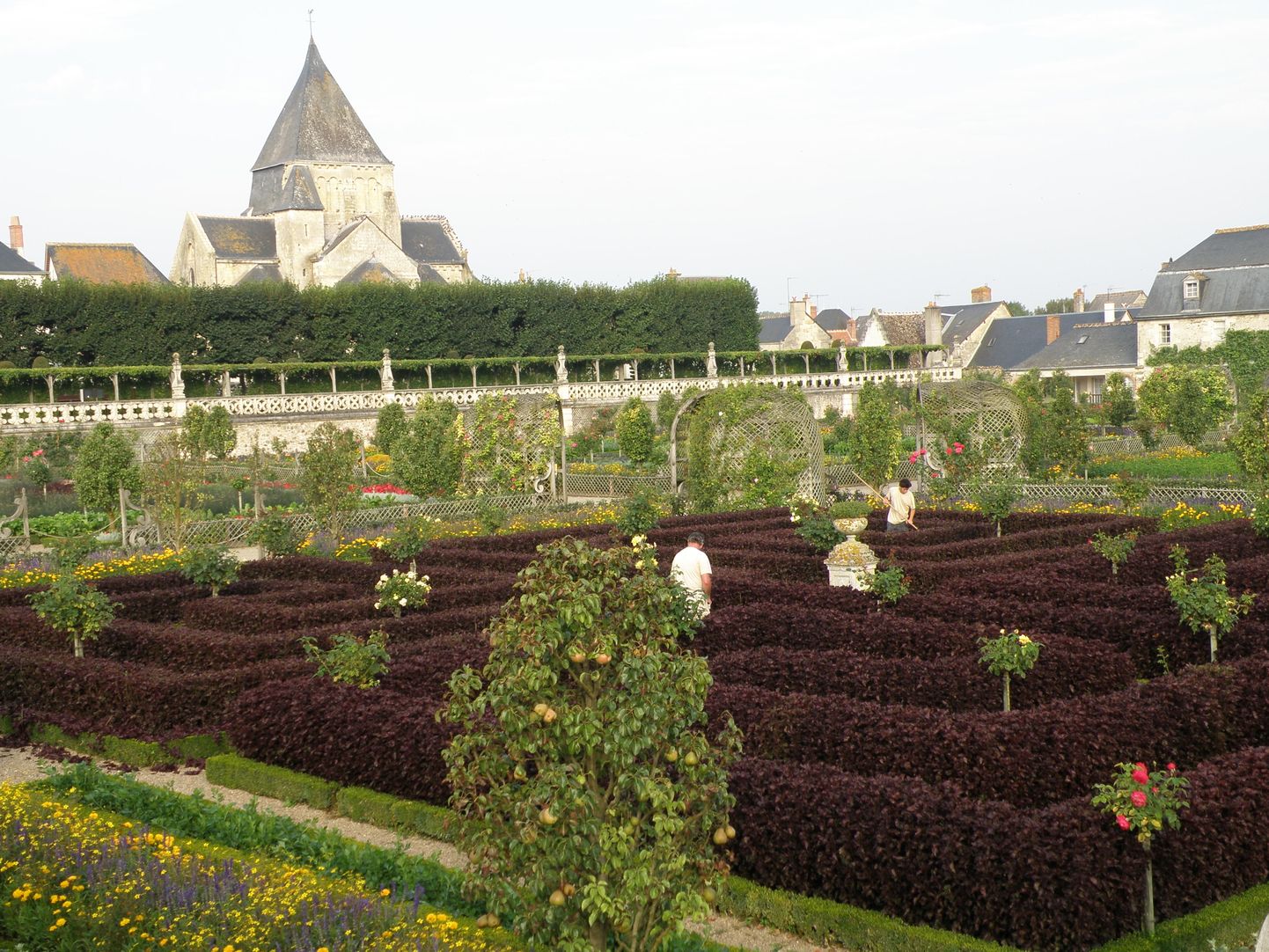 Mustjaspunased hekimustrid on Prantsusmaal Villandry lossi köögiviljaaias kujundatud pronks-lutiklillest.