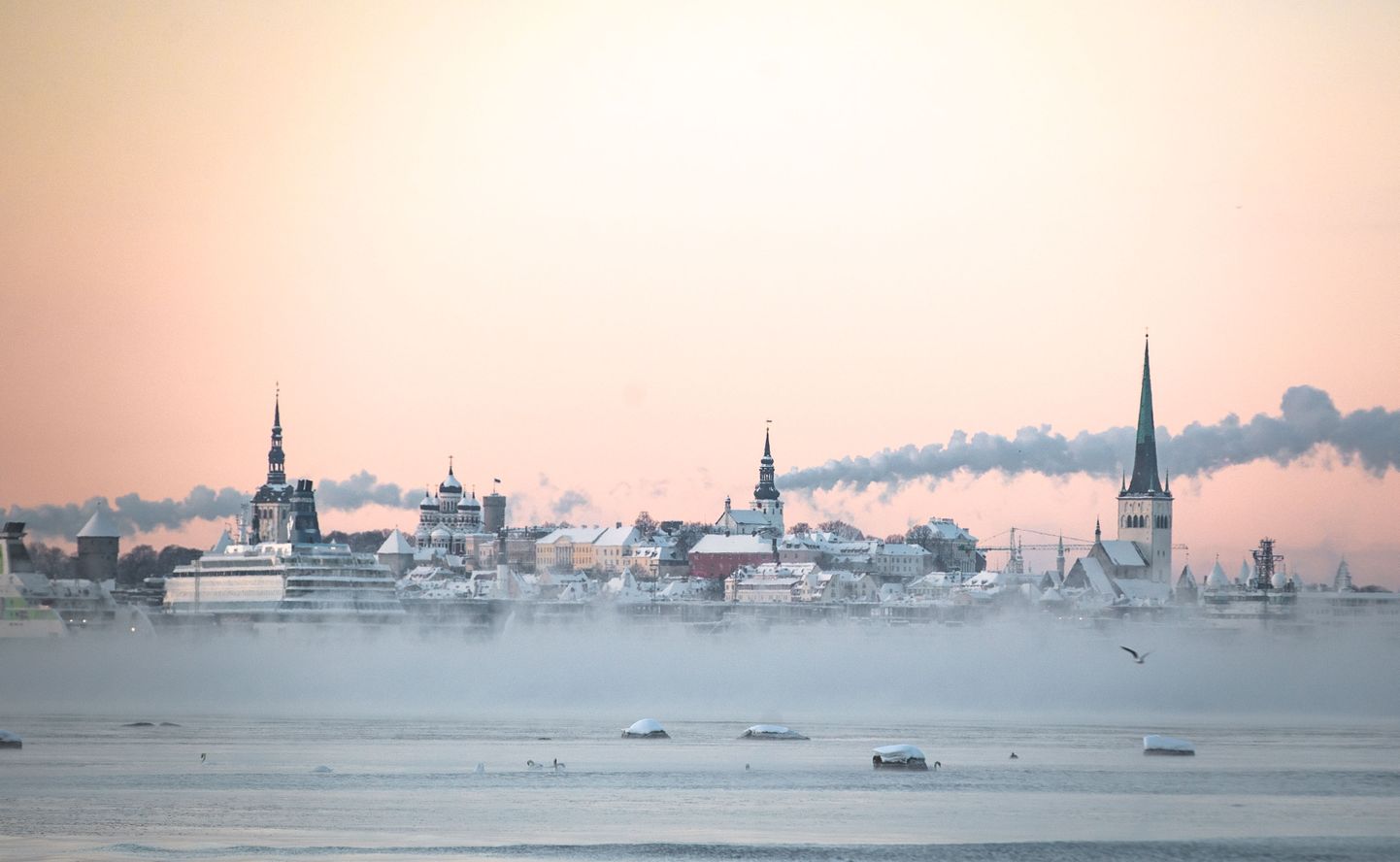 Karge talvehommik Tallinnas. Udu Tallinna lahel.