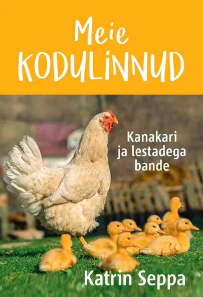 Katrin Seppa, «Meie kodulinnud».