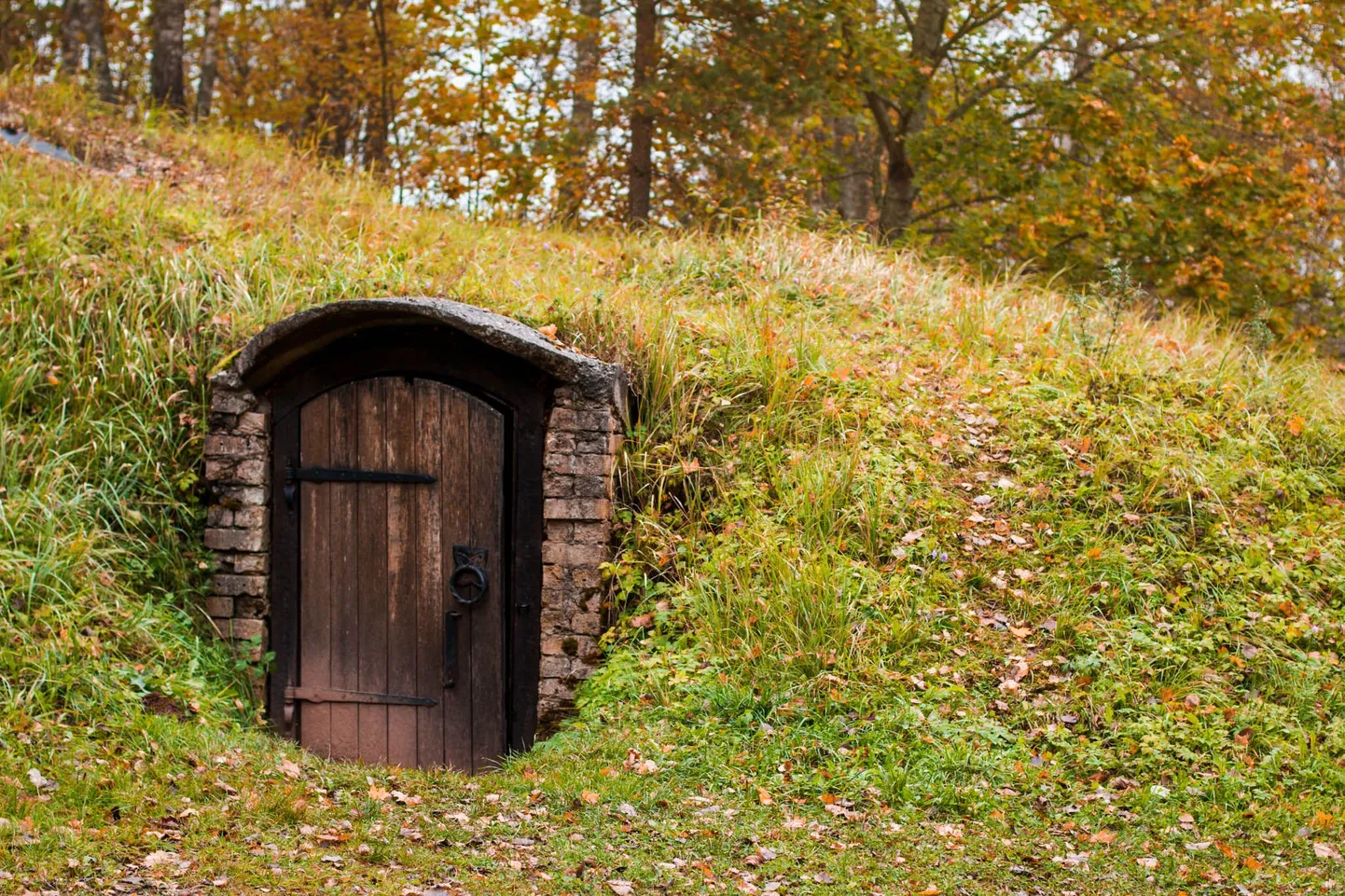 Allikukivi ürgoru maastikku ilmestavad koopad, millest suurima sissekäiku kaitseb uks.