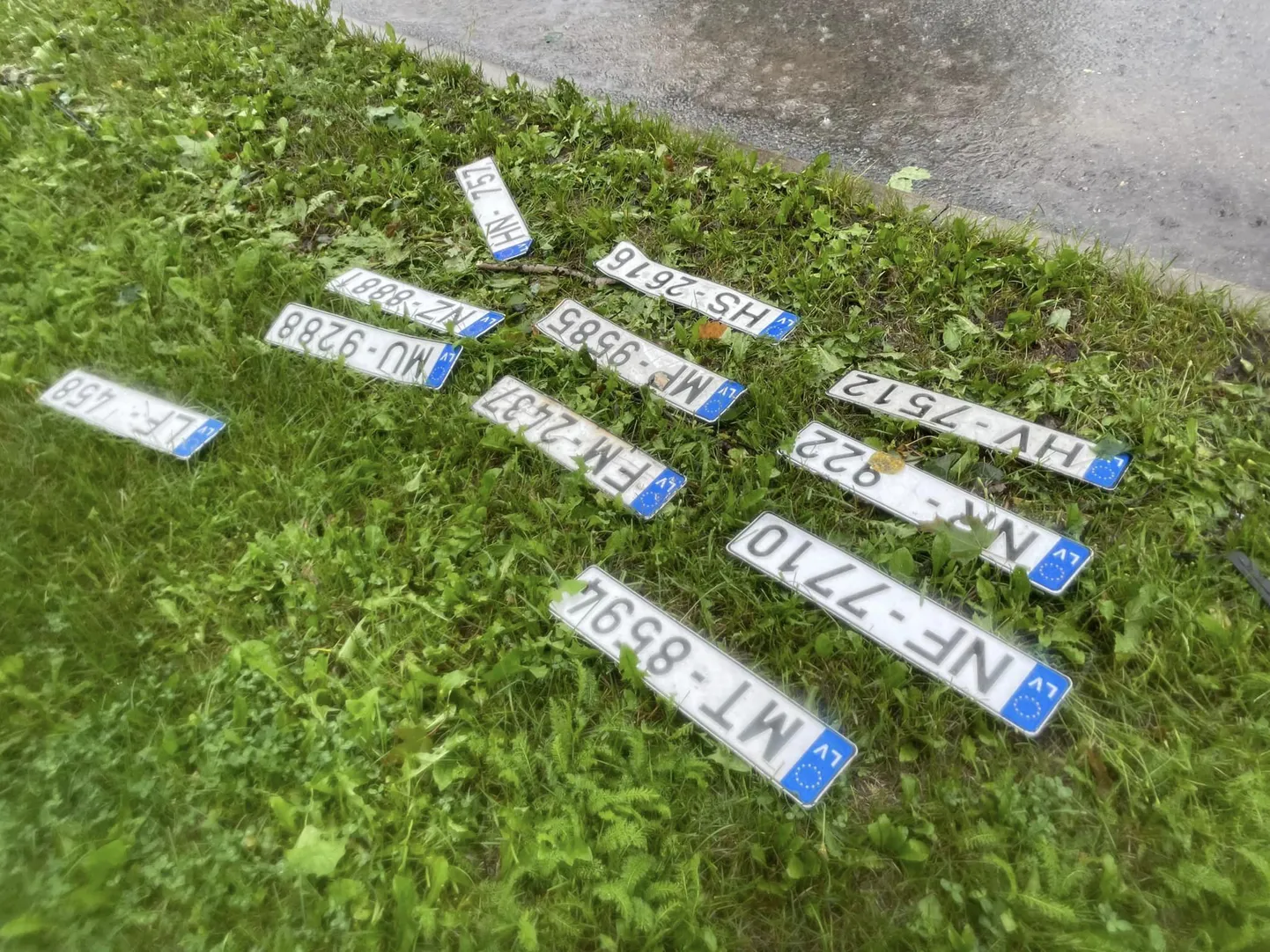 Raksta foto