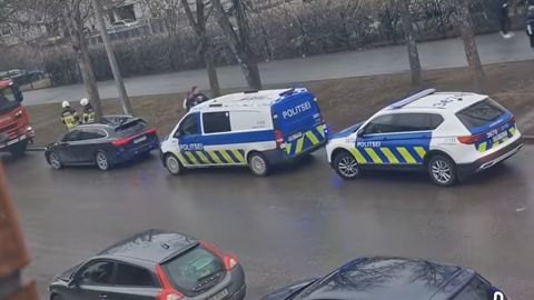 FOTOD JA VIDEO ⟩ Politsei ja pommirühm: Lasnamäe kooli garderoobis lasti gaasi, keegi viga ei saanud
