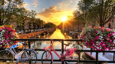 Amsterdamas kanālos uzstādīs kāpnes, lai palīdzētu kaķiem izkļūt no ūdens