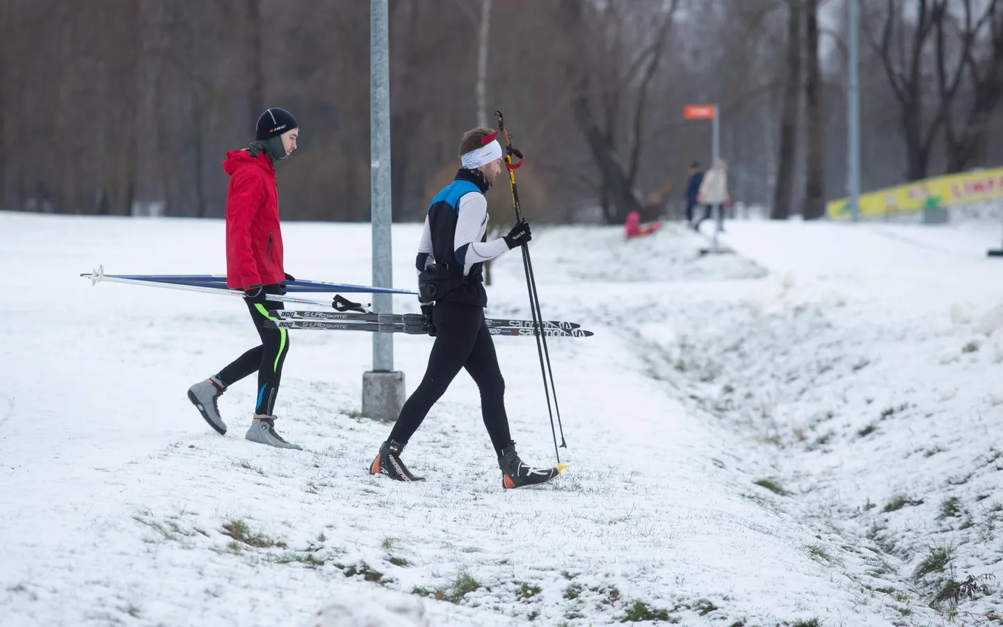 Tähtvere spordipargis turritavad lumekirme vahelt murulibled.