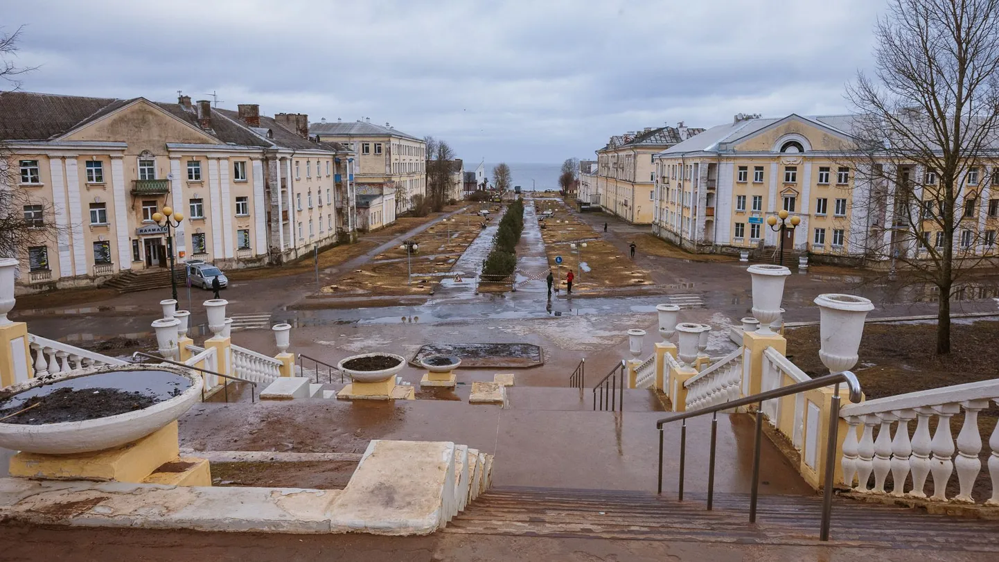 В Силламяэ вырубили деревья.